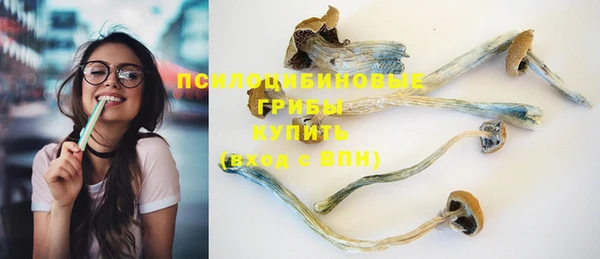 прущий лед Богородск