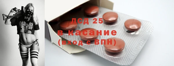 сатива Богородицк