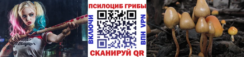 Псилоцибиновые грибы GOLDEN TEACHER  купить наркоту  Дрезна 
